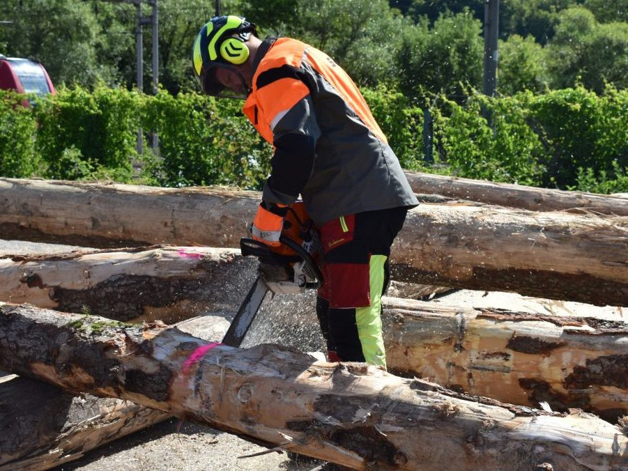 expedičný sklad štátneho podniku Lesy SR