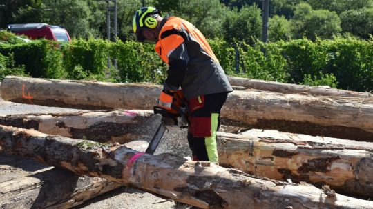 expedičný sklad štátneho podniku Lesy SR