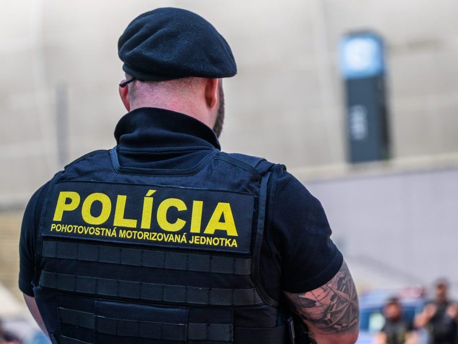 Na snímke policajt.