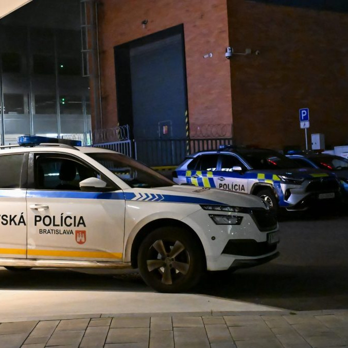 mestská polícia