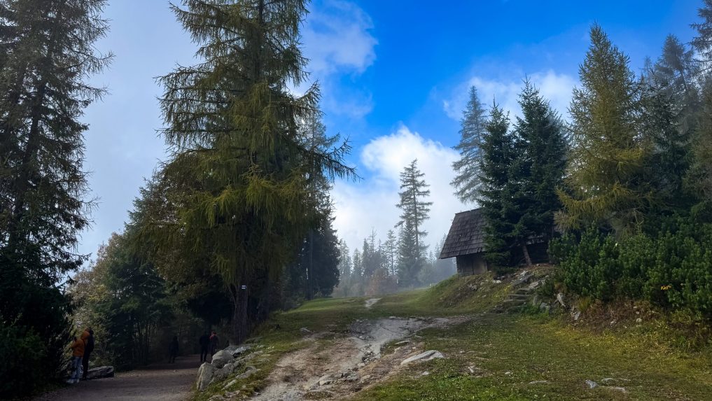 Deti z ukrajinského Chersonu trávia týždeň v Tatrách. Do hôr si prišli oddýchnuť od vojny