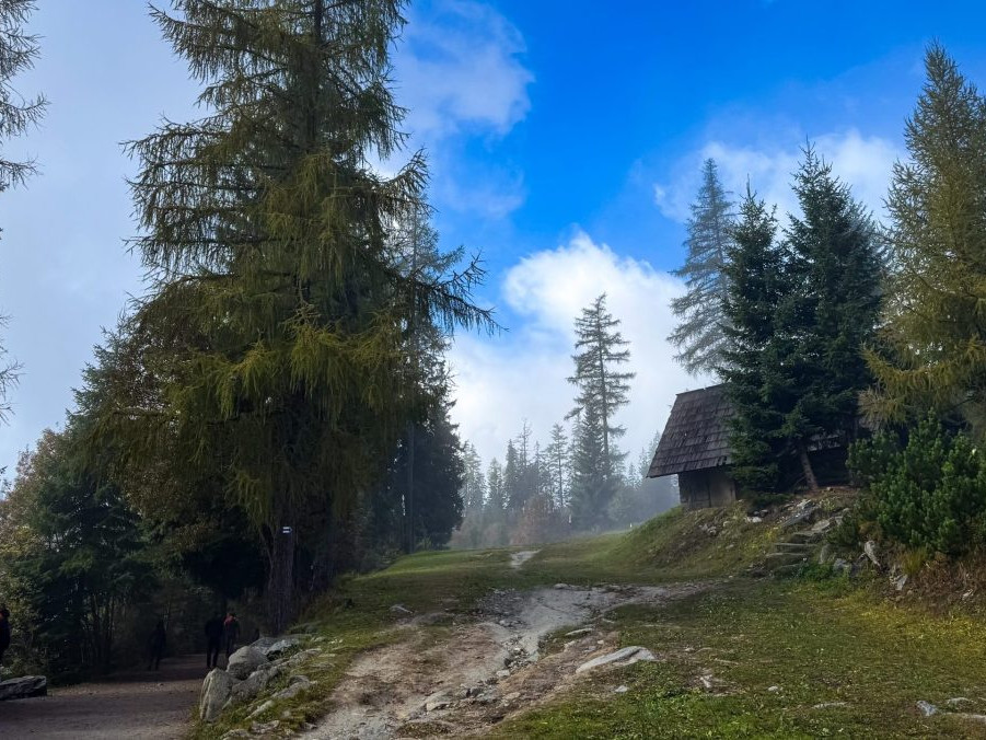 Deti z ukrajinského Chersonu trávia týždeň v Tatrách. Do hôr si prišli oddýchnuť od vojny