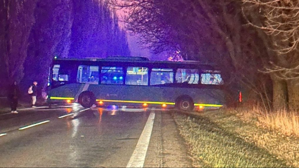 Snímka z miesta nehody pri obci Bučany.