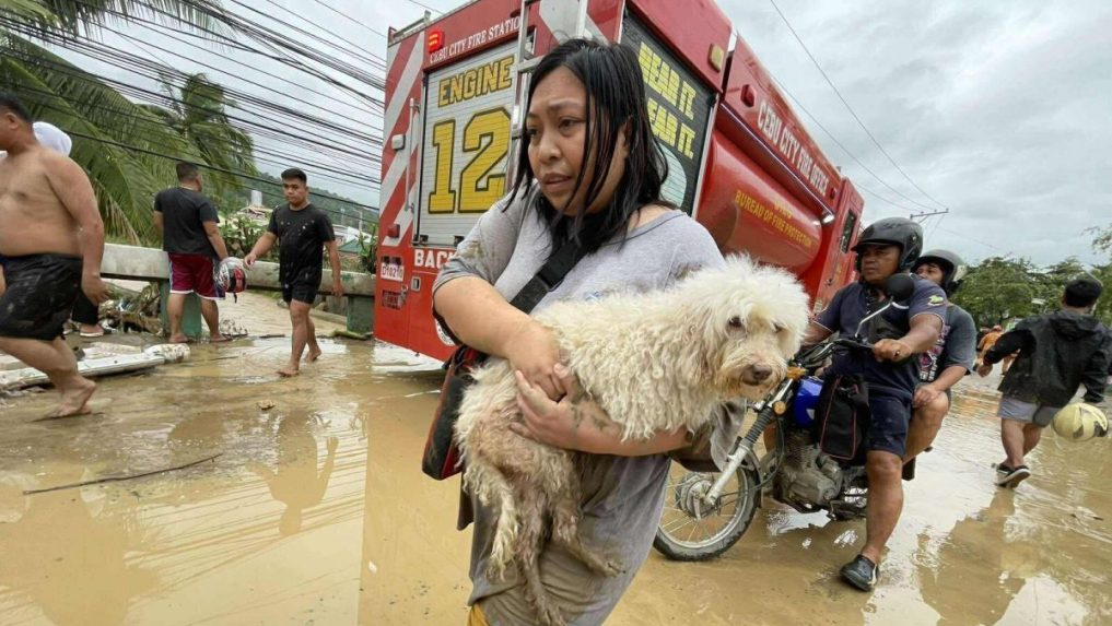 Ã…Â½ena zachraÃ…Âˆuje psa po povodniach na FilipÃƒÂ­nach.