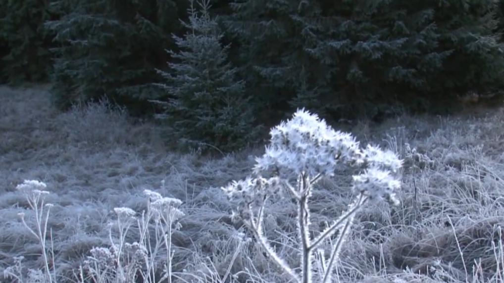 Na snímke námraza.