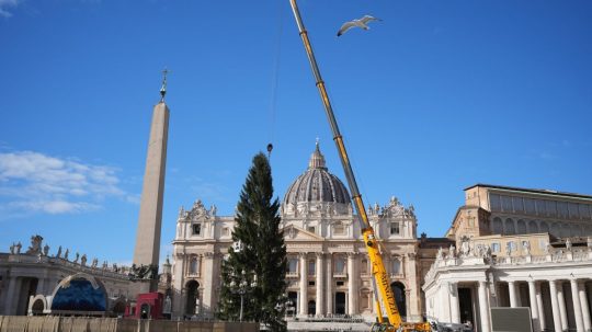 Jedľa meria 27 metrov a pochádza z údolia Ultimo zo severu Talianska.