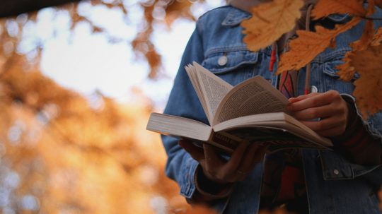 Osoba číta knihu, v popredí a v pozadí listy stromu.