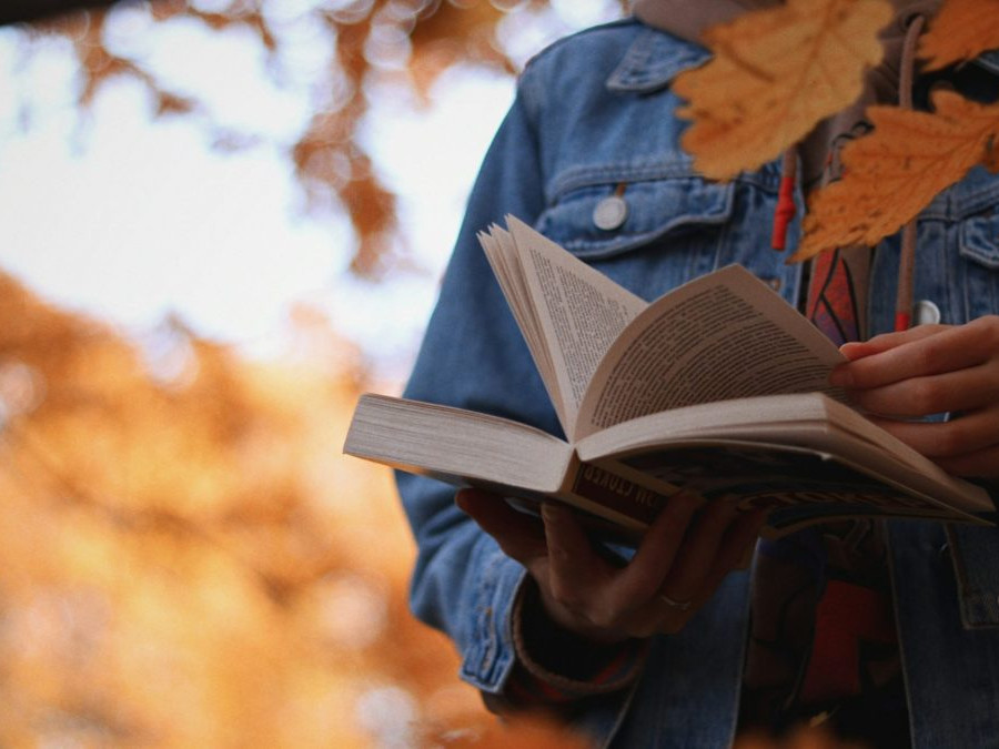 Osoba číta knihu, v popredí a v pozadí listy stromu.