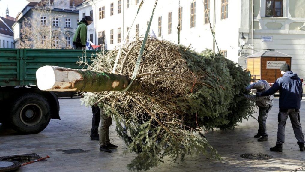 Na snímke pracovníci mesta stavajú vianočný strom.