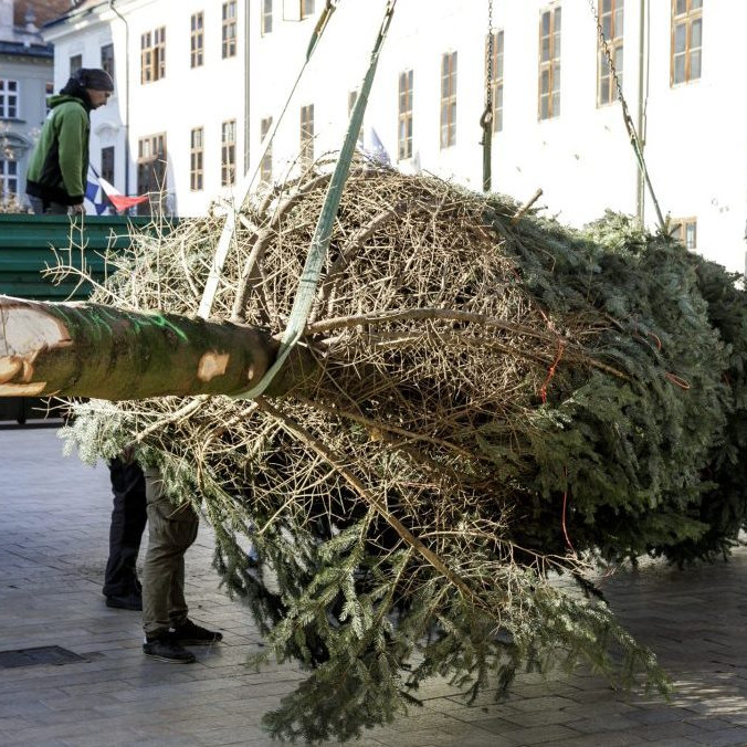 Na snímke pracovníci mesta stavajú vianočný strom.