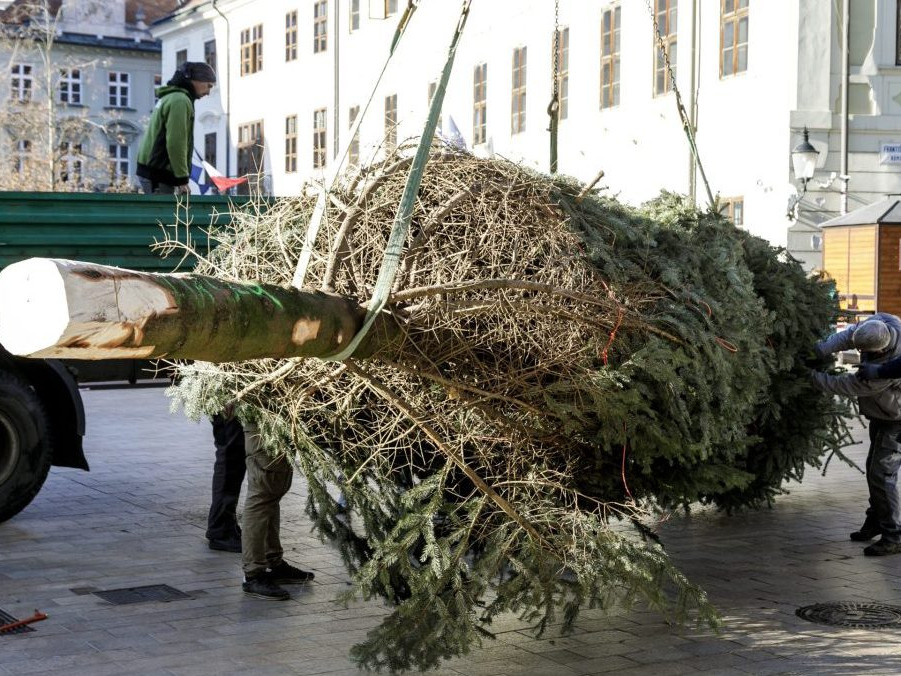 Na snímke pracovníci mesta stavajú vianočný strom.