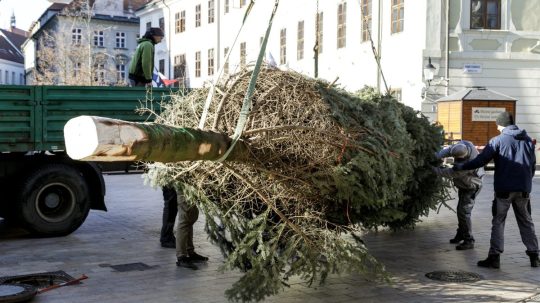 Na snímke pracovníci mesta stavajú vianočný strom.