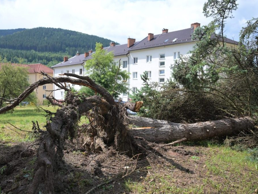 Na snímke padnutý strom po veternej smršti v Gelnici.