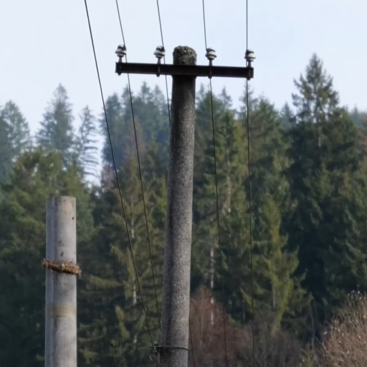 Niektoré stĺpy majú aj viac ako 50 rokov.