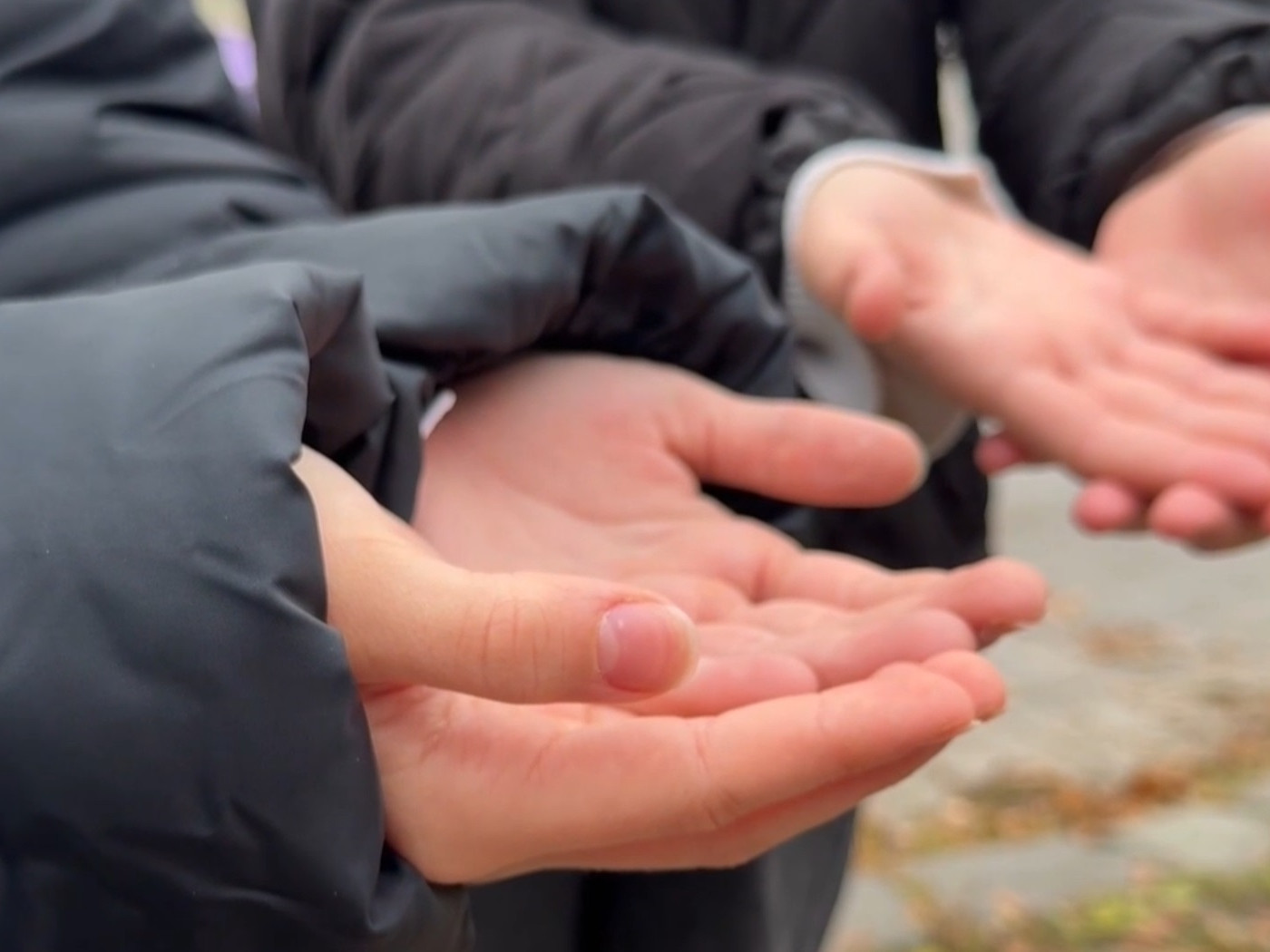 Na žobranie deti často posielajú aj rodičia.