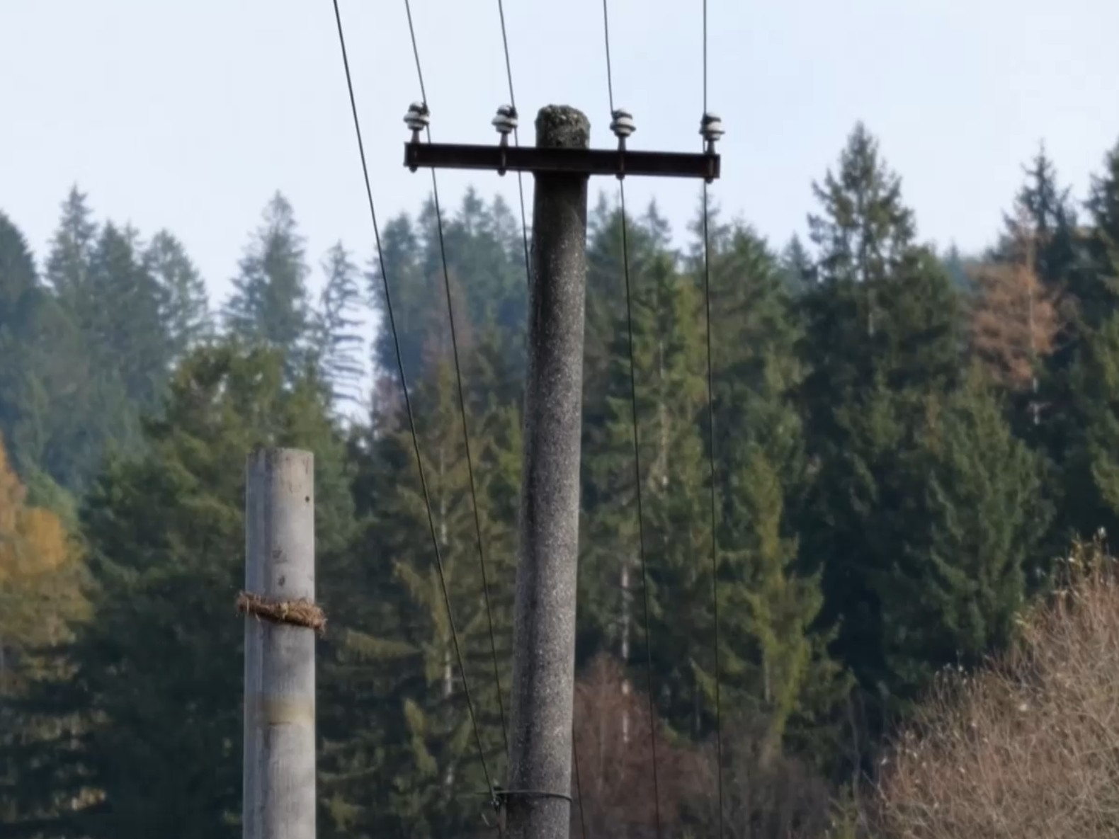 Niektoré stĺpy majú aj viac ako 50 rokov.