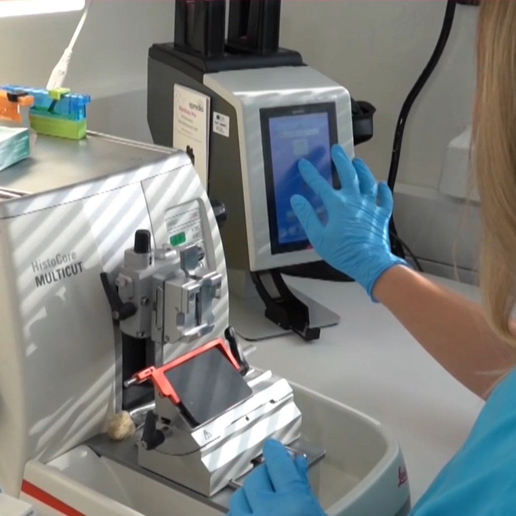 výskumná pracovníčka v nemocnici