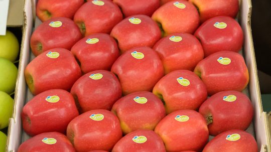 Jablkom roka sa stala odroda od Piešťan.