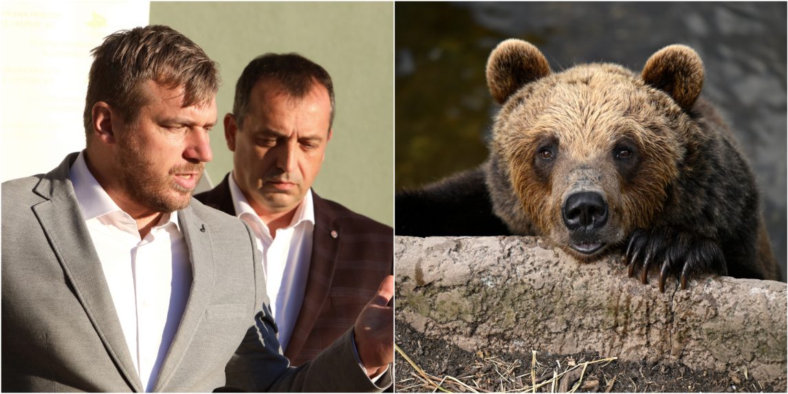 Na snímke Filip Kuffa, Roman Fajth a ilustračná snímke medveďa.