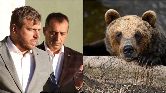 Na snímke Filip Kuffa, Roman Fajth a ilustračná snímke medveďa.
