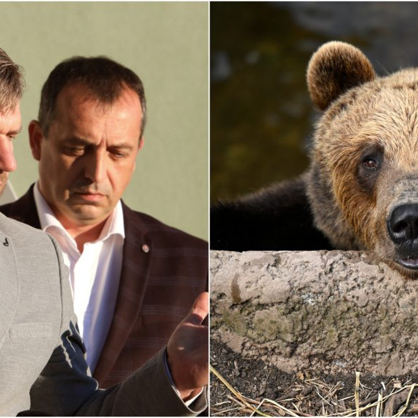 Na snímke Filip Kuffa, Roman Fajth a ilustračná snímke medveďa.