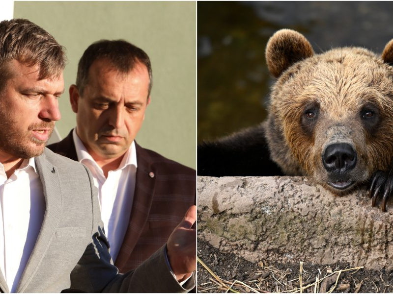 Na snímke Filip Kuffa, Roman Fajth a ilustračná snímke medveďa.