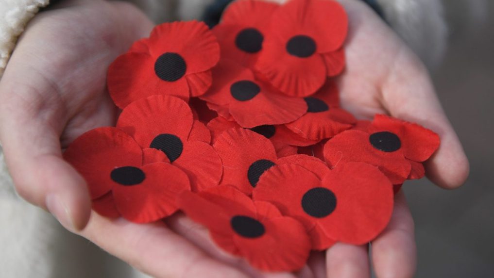 Červené maky ako symbol Dňa vojnových veteránov.