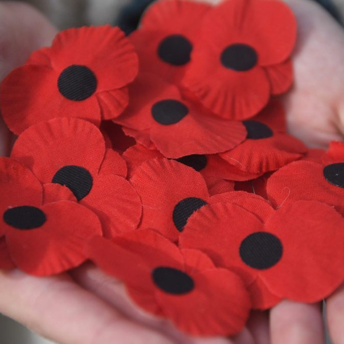 Červené maky ako symbol Dňa vojnových veteránov.