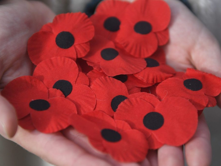 Červené maky ako symbol Dňa vojnových veteránov.