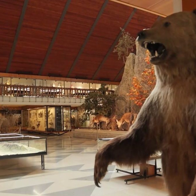 Na snímke interiér Múzea TANAP-u.