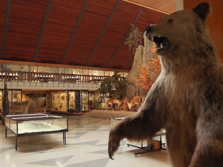 Na snímke interiér Múzea TANAP-u.