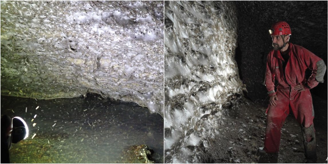 Na snímke najväčšia pavučina na svete.