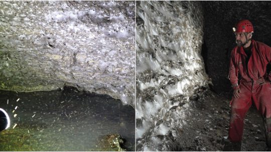 Na snímke najväčšia pavučina na svete.