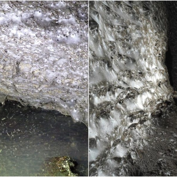 Na snímke najväčšia pavučina na svete.