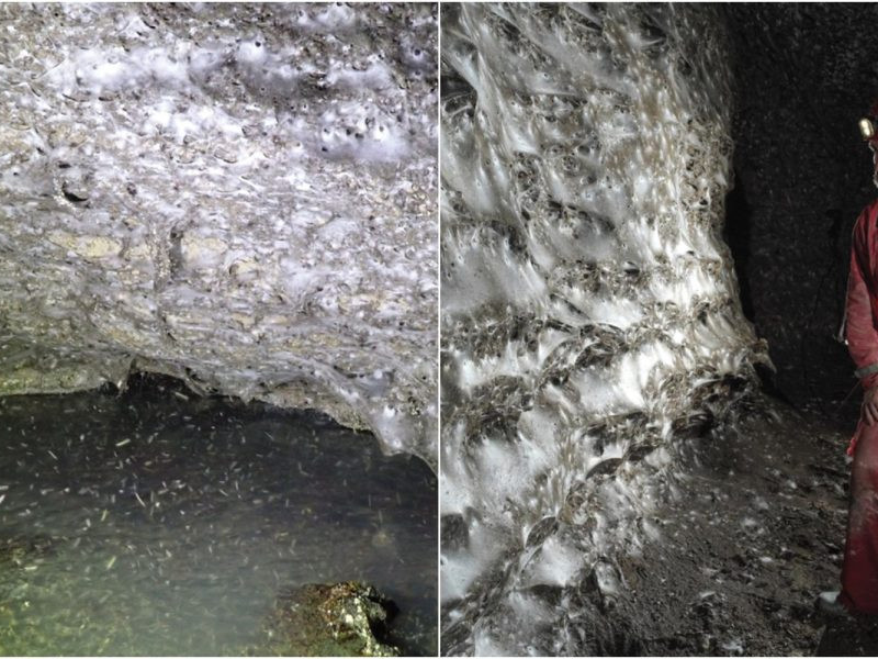 Na snímke najväčšia pavučina na svete.