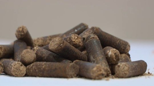 Pelety z pohánkovca.