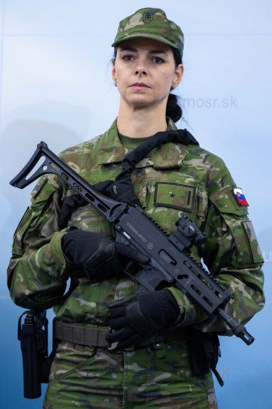 Výstroj a výzbroj majú viacero variantov na rôzne účely nasadenia.