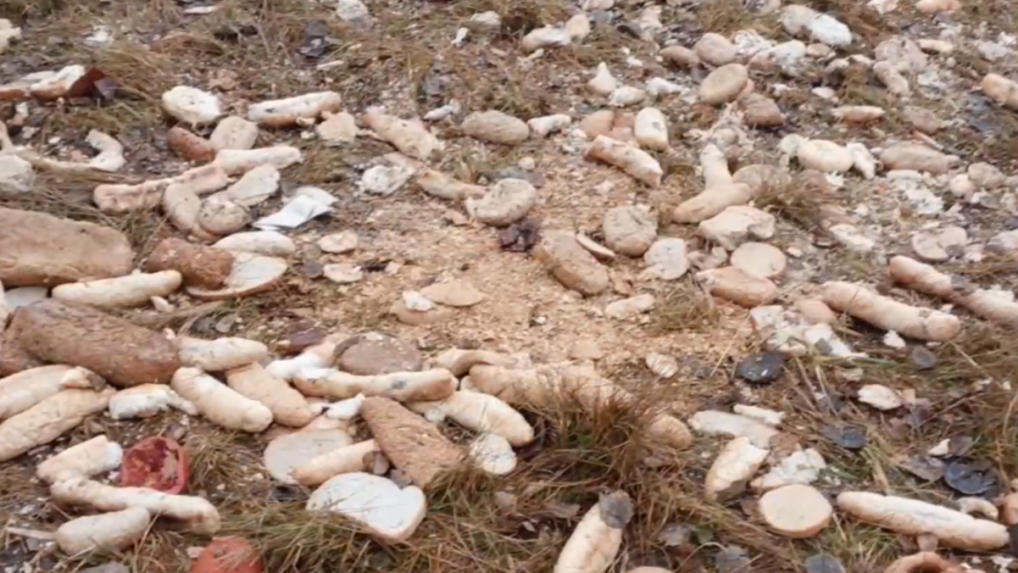 Nelegálna skládka kuchynského odpadu.