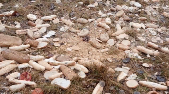 Nelegálna skládka kuchynského odpadu.