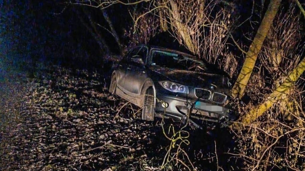 Na snímke je vozidlo v stromoch.