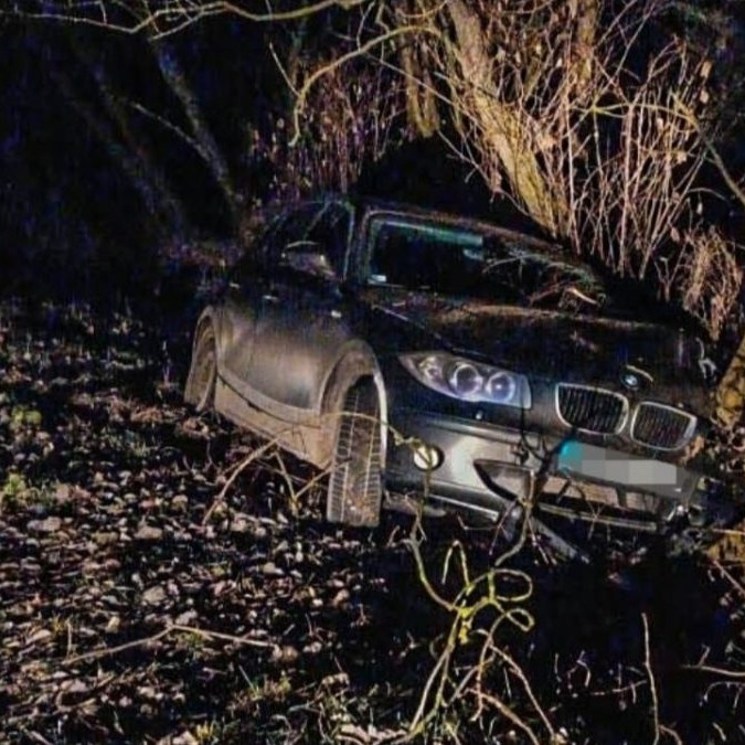 Na snímke je vozidlo v stromoch.