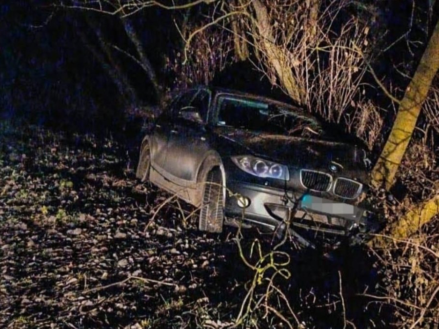 Na snímke je vozidlo v stromoch.