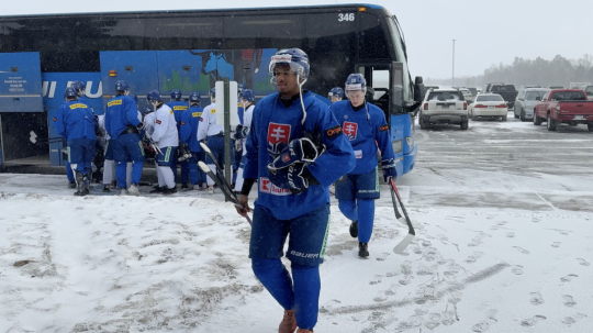 slovenská hokejová reprezentácia do 20 rokov