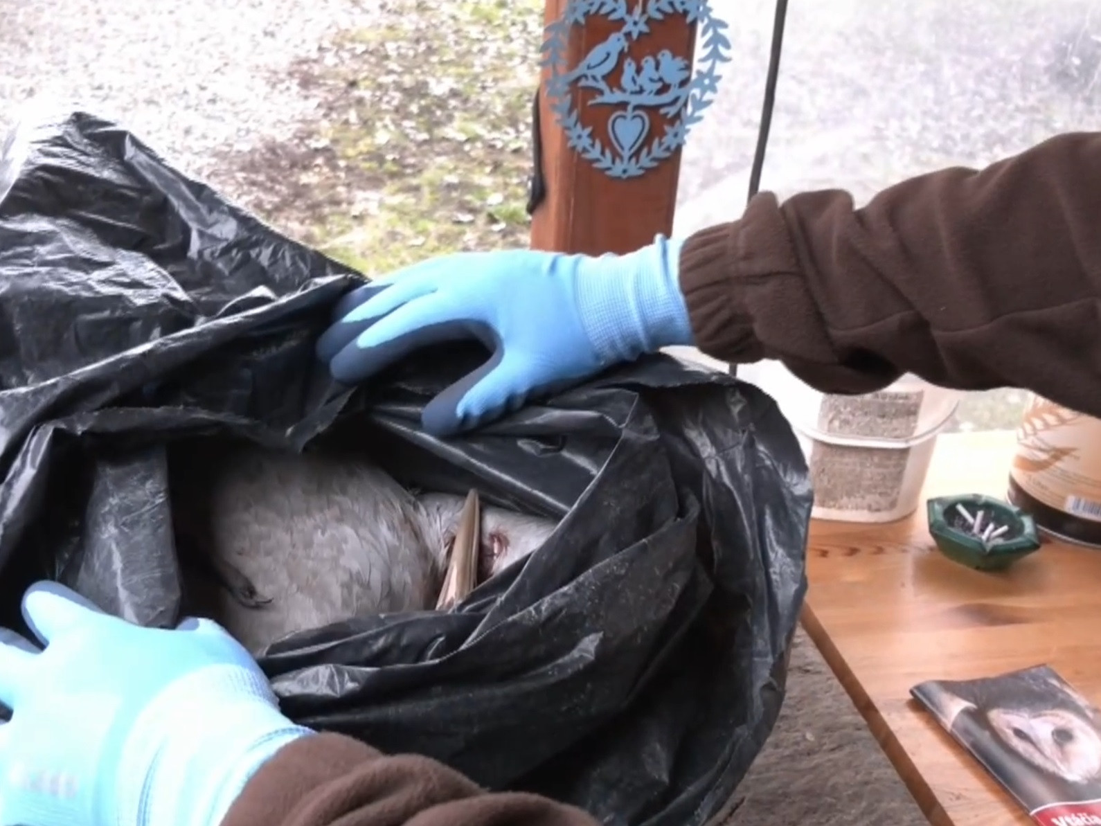 Poľovníci zabíjali chránené vtáky.