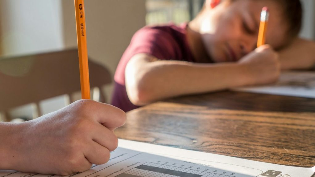 Na snímke sa deti učia.