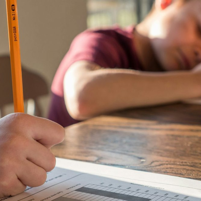 Na snímke sa deti učia.