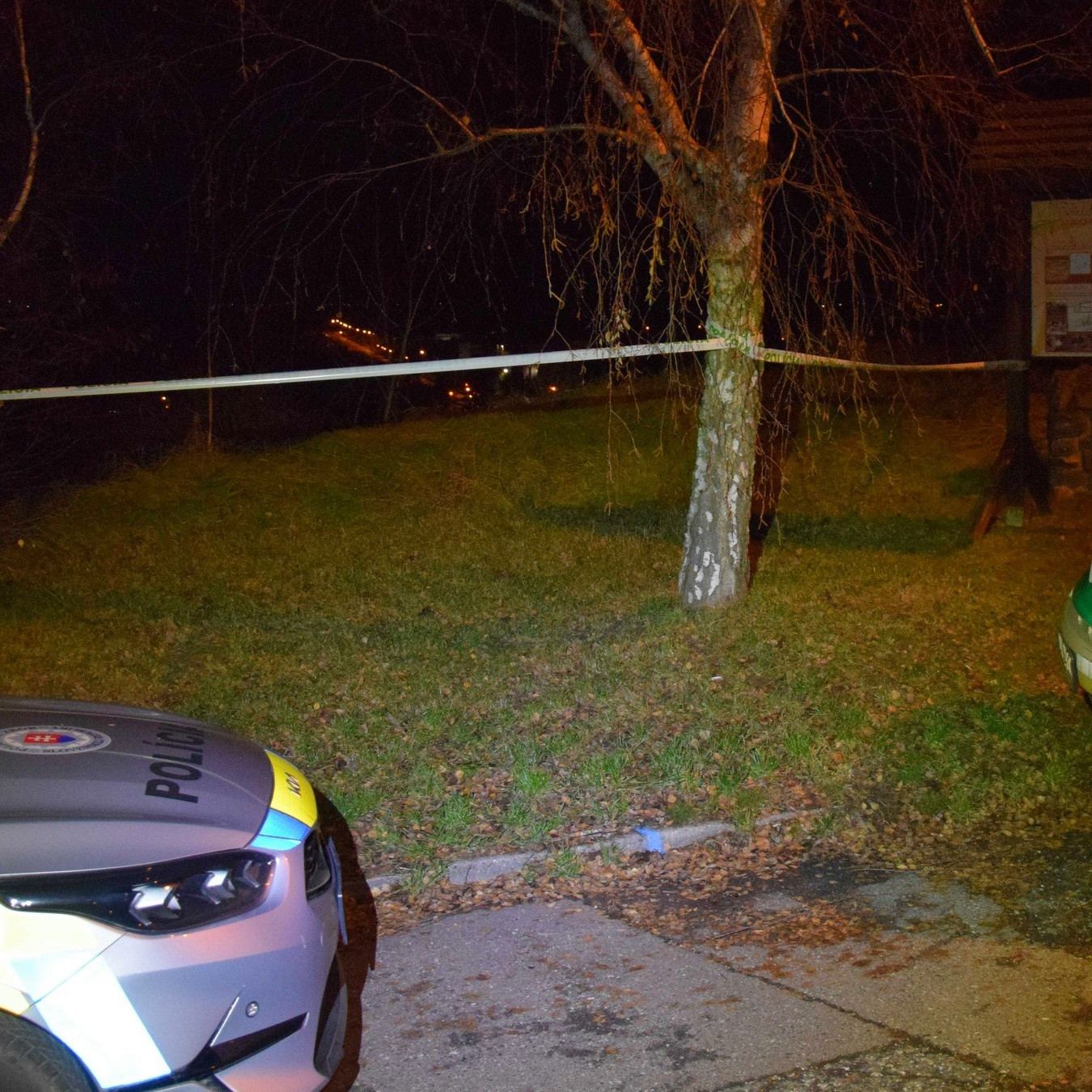 Muž mal zhodiť svoju expriateľku zo skál na levickej kalvárii