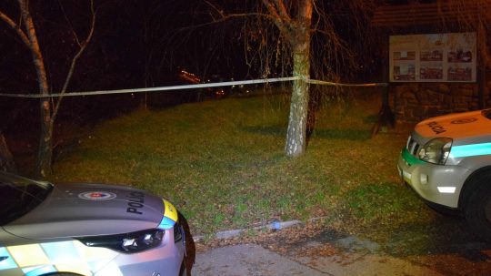 Muž mal zhodiť svoju expriateľku zo skál na levickej kalvárii