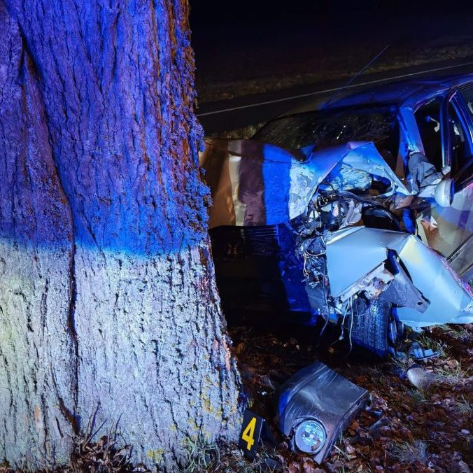 auto narazillo do stromu