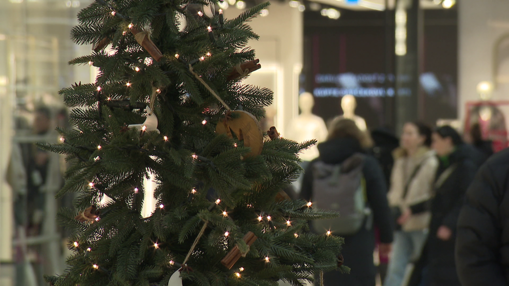 Na snímke vianočný stromček v nákupnom centre.
